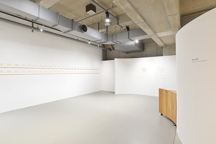 展示を観る