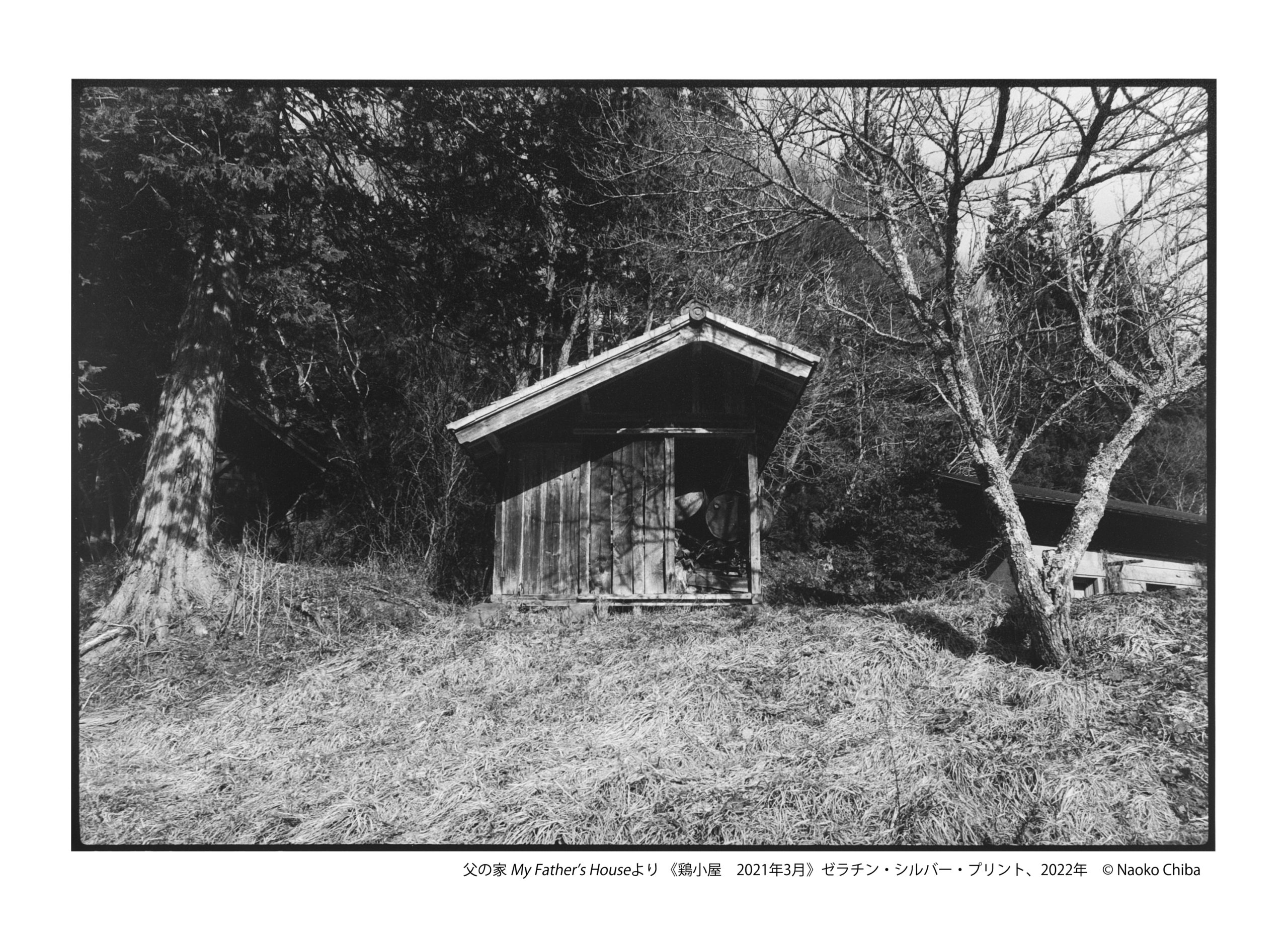 父の家 My Father’s House